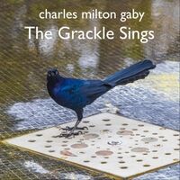 The Grackle Sings